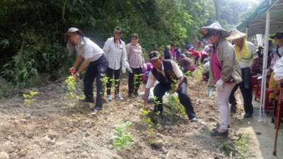 林務局東勢林區管理處舉辦「百年保安林植樹活動」